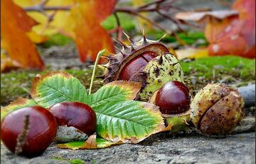Прогноз погоди: коли Україну накриють дощі