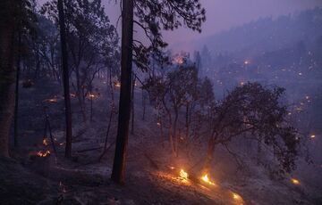 Сибір накрили безконтрольні лісові пожежі: їх нема чим гасити Сибір накрили безконтрольні лісові пожежі: їх нема чим гасити