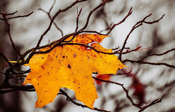 Опади припинилися: прогноз погоди в Україні