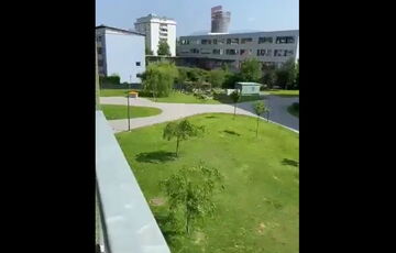 Число погибших в результате стрельбы в австрийской школе возросло до 11 человек