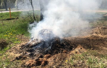 Спалювати суху траву в Україні заборонено: які штрафи за це передбачені