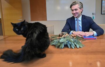 Литва виходить із договору про заборону протипіхотних мін