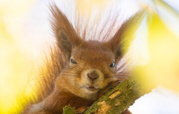 Синоптик: вересень в Україні буде теплим та посушливим