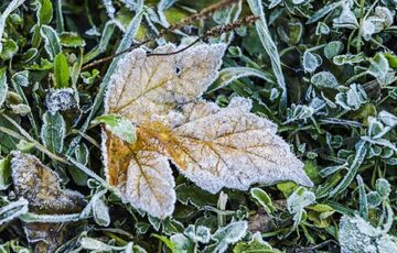 Погода в Україні: де чекати заморозків