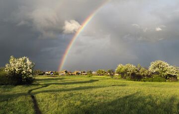 Прогноз погоди: коли в Україні припиняться грози