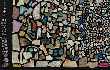 Тела птиц на крохотном острове в Тихом океане настолько забиты пластиком, что хрустят