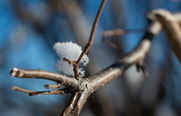 Прогноз погоди в Україні: коли вщухнуть дощі