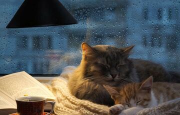 Синоптики обіцяють різке похолодання: прогноз погоди в Україні