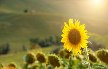 Завтра в Украине резко похолодает, ожидаются шквалы с ливнями