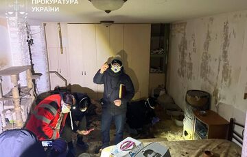 У ”притулку” Київської області загинуло понад 50 котів: тварин утримували у жахливих умовах