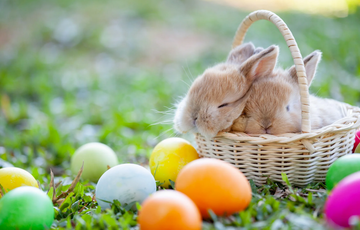 Синоптики озвучили прогноз погоди на Великдень