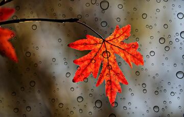 В Украину идет потепление: синоптики озвучили дату