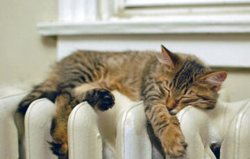 Отопительный сезон близится к завершению: когда выключат тепло