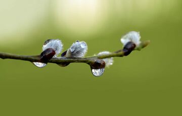 В Україну повертаються дощі: чи варто чекати похолодання