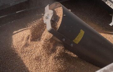 СМИ: в мире резко подорожала пшеница в связи с закрытием РФ ”зернового коридора”