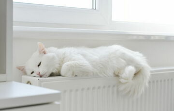 Отопительный сезон в Киеве начинается завтра