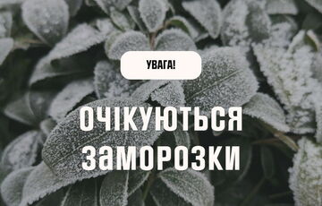 В Украину идут первые заморозки