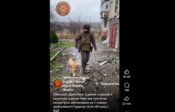 На Донеччині врятували собаку, який місяць жив на 5 поверсі зруйнованого будинку (відео)