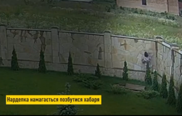 Народна депутатка Марченко, яка намагалася викинути хабар через паркан, засуджена до 2 років в'язниці