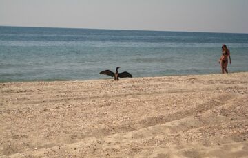 Грози припинилися: прогноз погоди в Україні