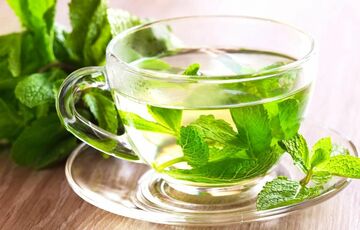 Диетолог назвала основные преимущества мятного чая
