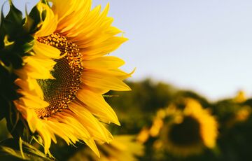 Дощі припинилися: прогноз погоди в Україні