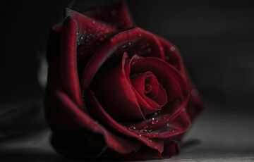 Вчені назвали найсексуальнішу групу крові