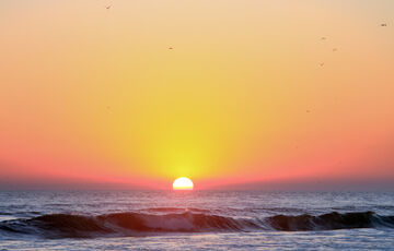 Дефіцит вітаміну D в організмі: 7 неочевидних ознак