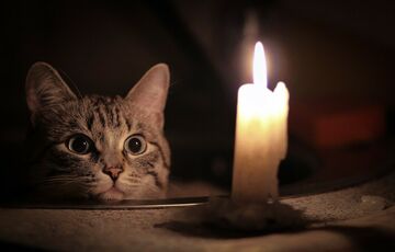 Окупований Бердянськ залишився без світла й води