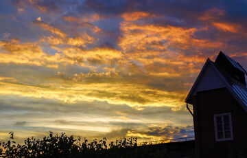 Сонячний прогноз: якою буде погода в Україні 7 грудня