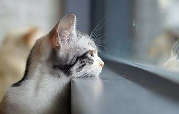 Погода в Україні: коли чекати на потепління