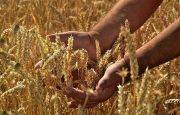 Польща не відкриє кордон для українських товарів – ембарго буде безстроковим