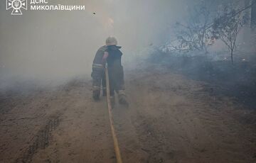 В Николаевской области потушили масштабный лесной пожар В Николаевской области потушили масштабный лесной пожар