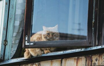 Остання неділя літа: якою буде погода