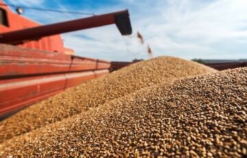 Россия может заблокировать продление ”зернового соглашения”: названо условие 