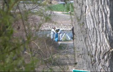 У Німеччині вбили українку, її матір та новонароджену доньку шукають