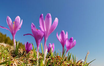 Погода в Україні: прогноз на суботу