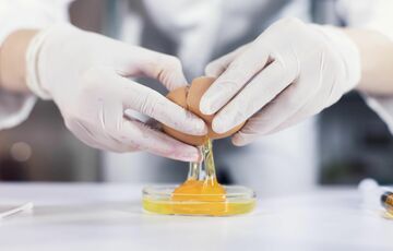 У Швеції масово знищують курей через спалах сальмонельозу У Швеції масово знищують курей через спалах сальмонельозу