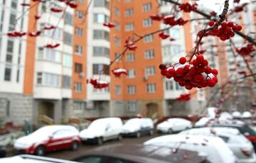 Мороз і сонце: прогноз погоди в Україні на 2 грудня