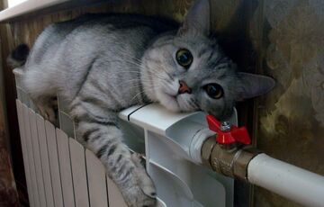 В домах украинцев может резко исчезнуть отопление: в Нафтогазе назвали причину