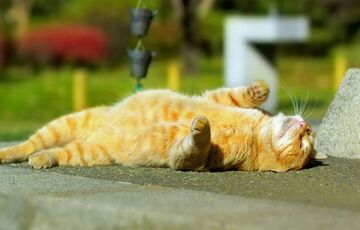 Прогноз погоди: синоптики обіцяють підвищення температури в Україні