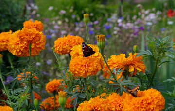 Прогноз синоптиків: погода в Україні 10 червня