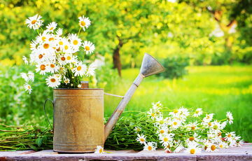 Спека і грози: прогноз погоди на неділю