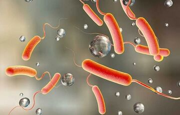 В оккупированных Скадовске и Геническе растет заболеваемость холерой