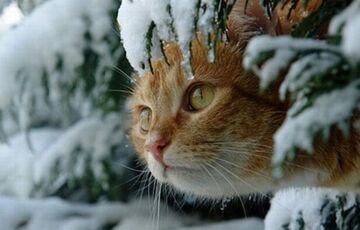 Прогноз погоди: в Україні знову похолодало