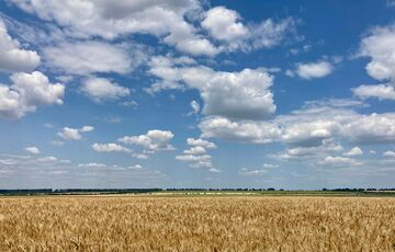 В МИД Украины заявили, что Россия на 99,9% выйдет из зерновой сделки