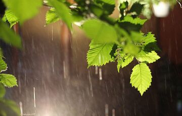 Прогноз погоди: в Україні можуть пройти дощі