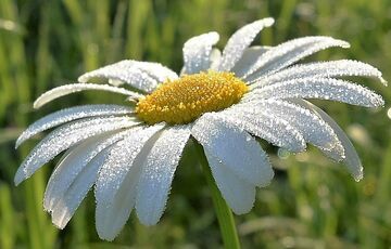 Прогноз погоди: де в Україні припиняться грози