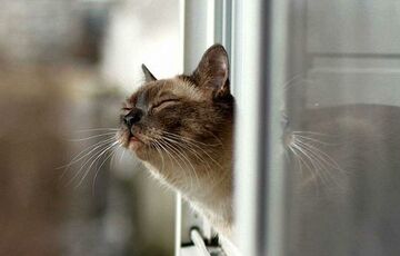 Прогноз на 16 грудня: в Україну повертається сонячна погода