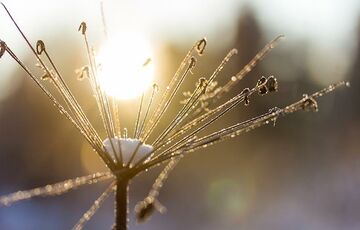 Погода 10 січня: в Україні може виглянути сонце